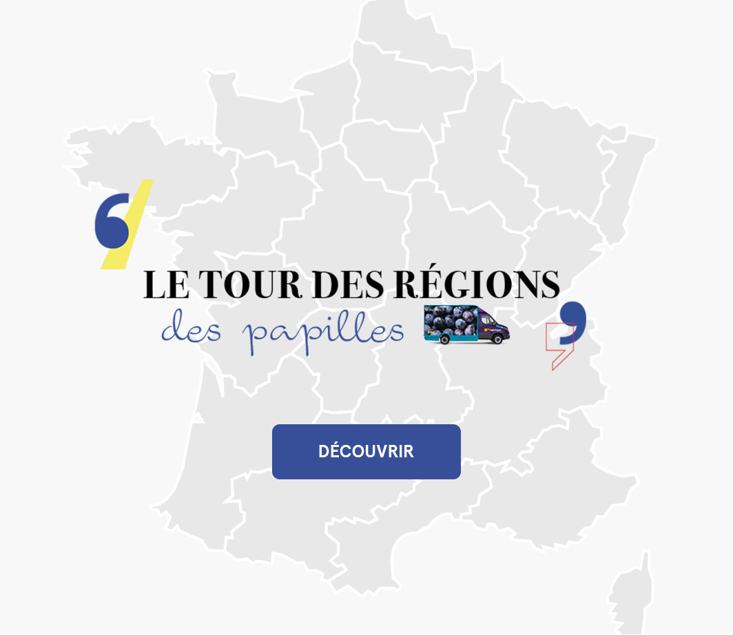Encart - Nos régions de France Adresse Web externe