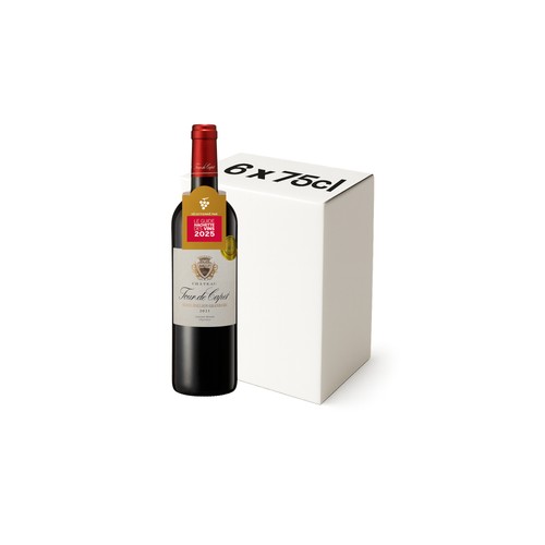 Château Tour De Capet Bordeaux Rouge Carton 6x75cl