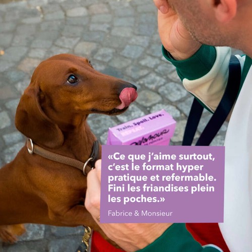 Delamour friandises pour chiens - Les Pépites Poulet 75g