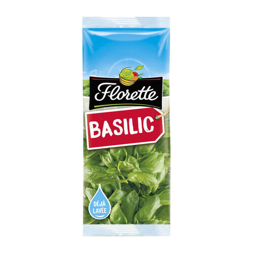 Florette Basilic 11G
