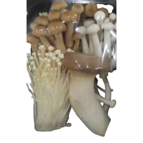 Champignons mixte asiatique Barquette 250g