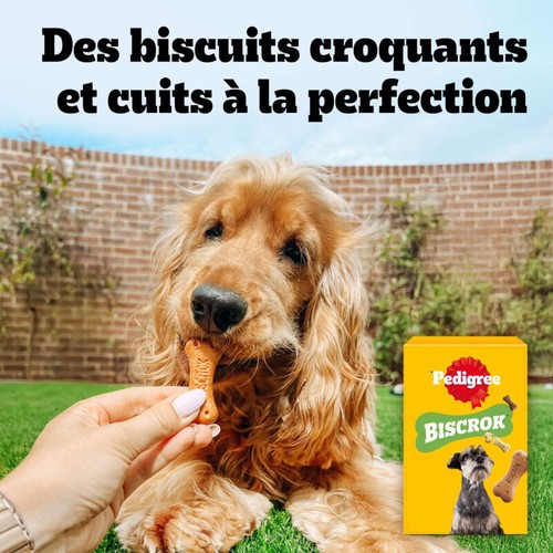 Pedigree Biscrok Biscuits multi mix pour chien 500g