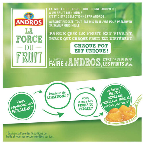 Andros Compote Pomme Morceaux fondants 4x100g 