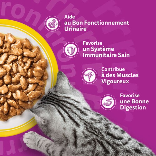 Whiskas Fraîcheur Les Festins à la Volaille en sauce 4 variétés pour chat senior 12x85g