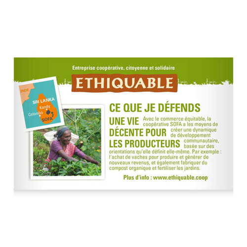 Ethiquable Thé Tonique Au Guarana Bio 36g