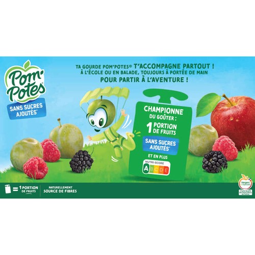 Materne Pom'Potes Compotes en Gourde Sans Sucres Ajoutés 4 Parfums 12x90g