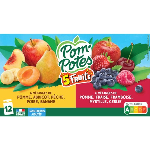 Pom'Potes Sans sucre ajouté 5 fruits 12x90g