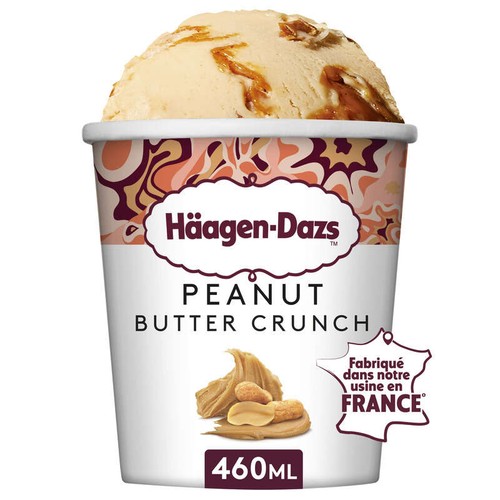 Haagen-Dazs Pot Peanut Butter Crunch Prem 400g