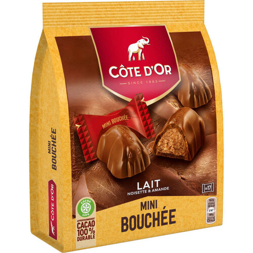 Côte d'Or Mini Bouchée Chocolat au Lait Noisettes 158g