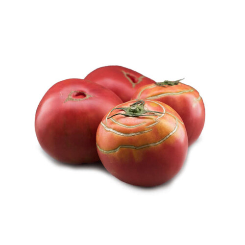 Tomate - Mont du Vésuve - Pleine Terre -500gr