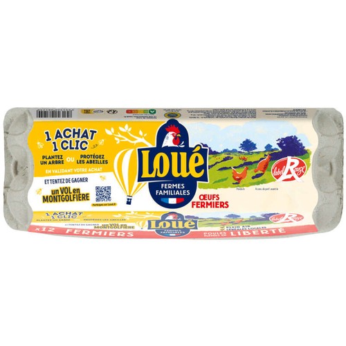 Loué Œuf Moyen Élevées En Liberté x12