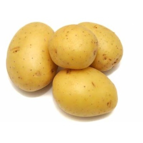 Pomme de Terre Ile de Batz Bio 1,5kg