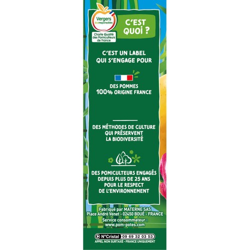 Materne Pom' Potes Compotes Pomme Pêche Fruits du Dragon 4x90g