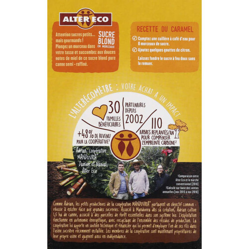 Alter Eco Sucre Blond en morceaux Bio 500g