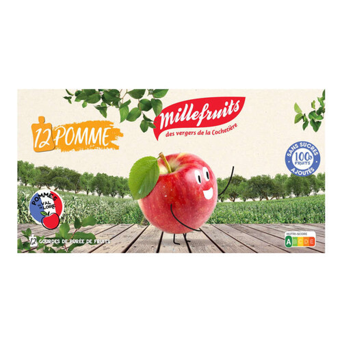 Millefruits Purée De Fruits Pomme Sans Sucres Ajoutés 12 X 90G