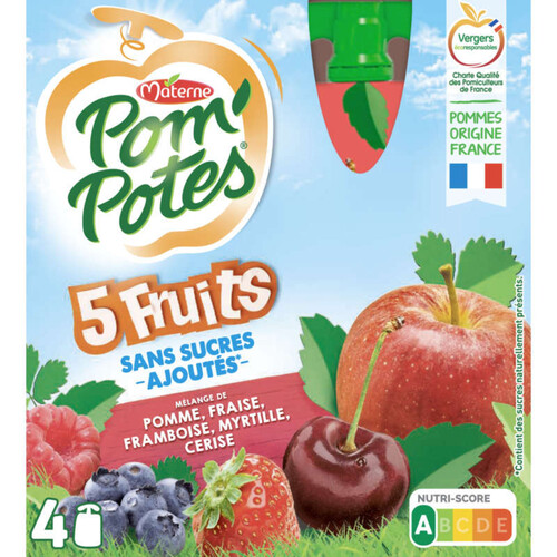 Pom'potes compote cinq fruits le pack de 4x90g
