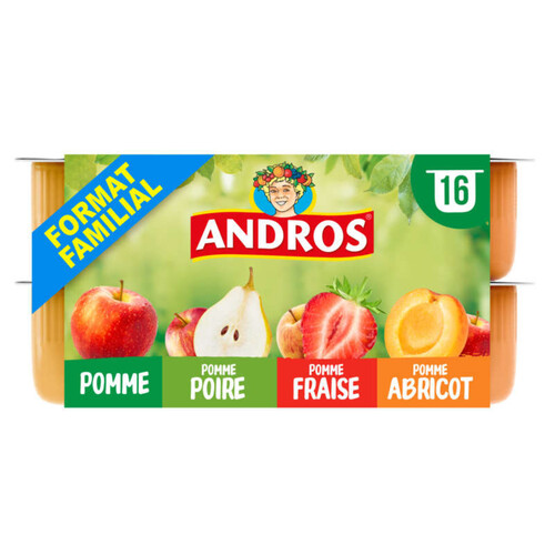 Andros dessert panache 16x100g