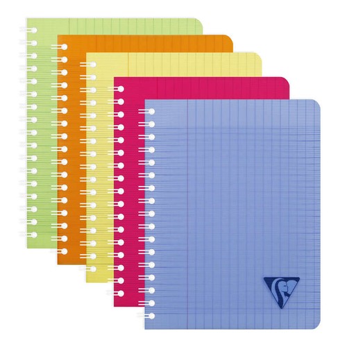 Clairefontaine Cahier intégrale linicolor 170x220 100 pages seyes