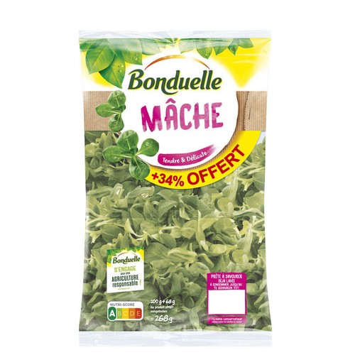 Bonduelle Mâche 268g