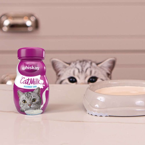Whiskas Lait Pour Chats Adultes Et Chatons De Plus De 6 Semaines 200ml
