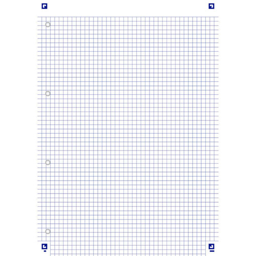 Oxford Fiche Bristol2.0 Perforée 30P A4 21x29.7cm 210 g/m² Petits Carreaux