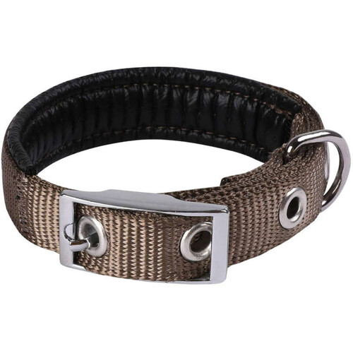 Animalis Collier Basic Confort 25mm et 55cm pour Chien Taupe