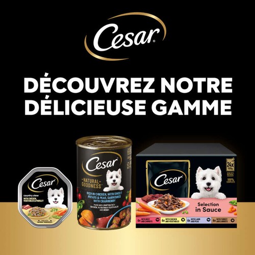 Cesar Barquettes pour chien en gelée 4 variétés senior 4x150g