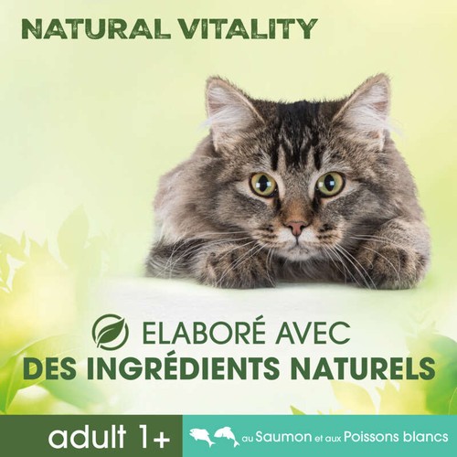 Perfect Fit Croquettes Au Saumon Et Aux Poissons Blancs Chat Adulte 1Kg