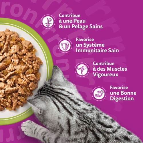 Whiskas Sachets fraîcheur la carte mixte en gelée pour chat adulte 48x85g