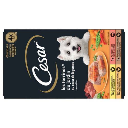 Cesar Barquettes en terrine pour chien au cœur de légumes 4x150g