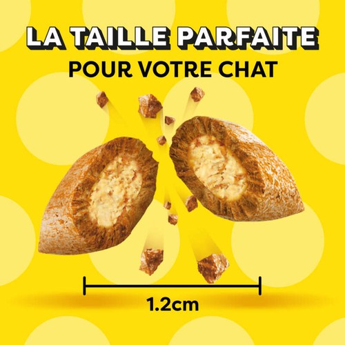 Catisfactions Friandises Pour Chat Saveur D'Herbe À Chat 60g