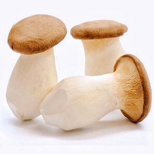 Monoprix Champignon eryngii 200g