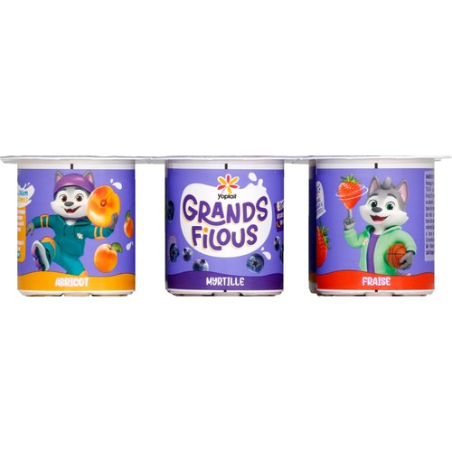 Yoplait Grands Pots Fruits Mixés 6x100g