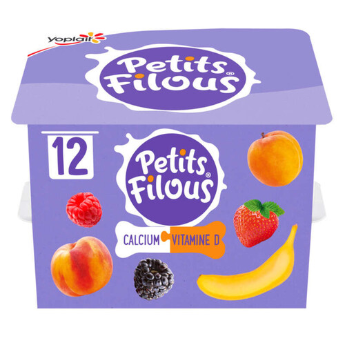 Yoplait petits filous yaourt pour enfants fruits mixes pots 12x50g