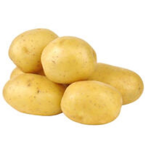Pomme de Terre D'Ete 1.5kg