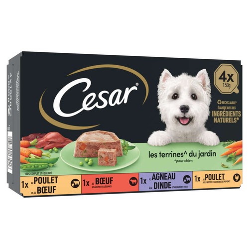 Cesar Terrines Traiteur 4 Variétés, Pour Chien 4x150g