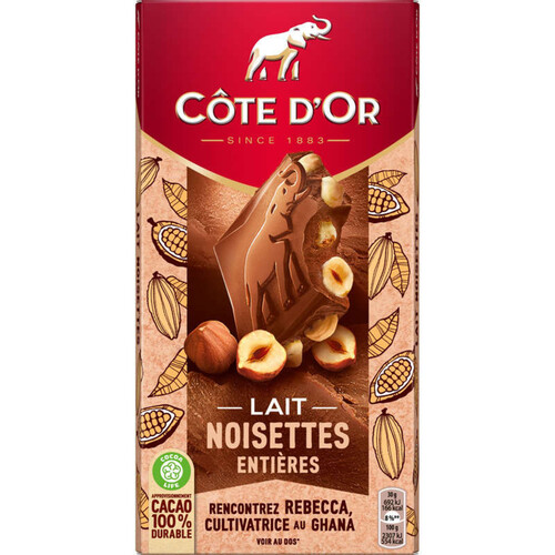 Côte d'Or Tablette Chocolat au Lait aux Noisettes Entières 180g