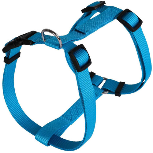 Animalis Harnais Basic pour Chien 25mm 63/97cm Bleu