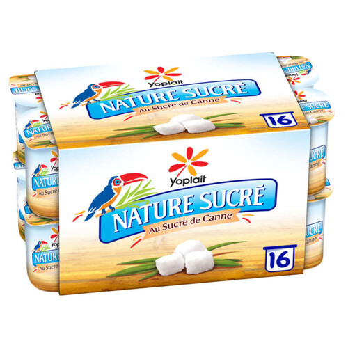 Yoplait yaourt nature sucre pots 16x125g