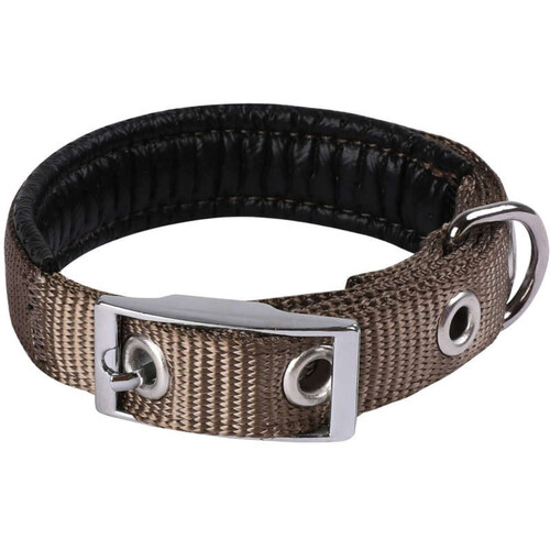 Animalis Collier Basic Confort pour Chien 40mm - 70cm, Taupe