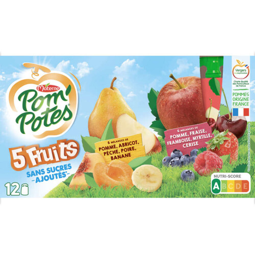 Pompote Sans sucre ajouté 5 fruits 12x90gr