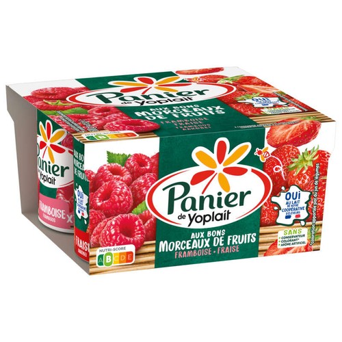 Paniers Yaourt Fraise Framboise 4x125g
