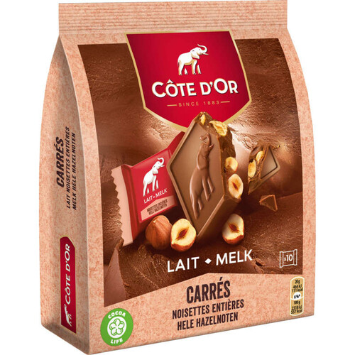 Côte d'Or Chocolat au Lait Noisettes Entières 10x20g