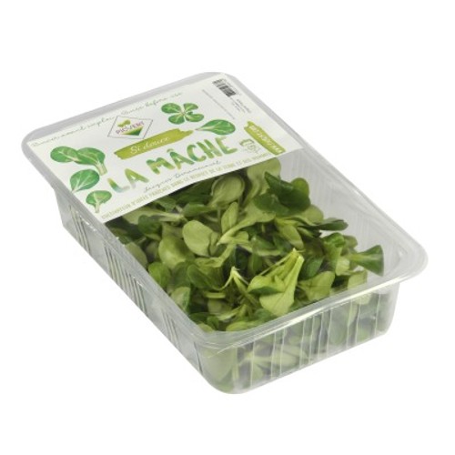 Mâche 125g