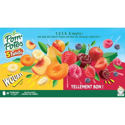 Pom'Potes Sans sucre ajouté 5 fruits 12x90g
