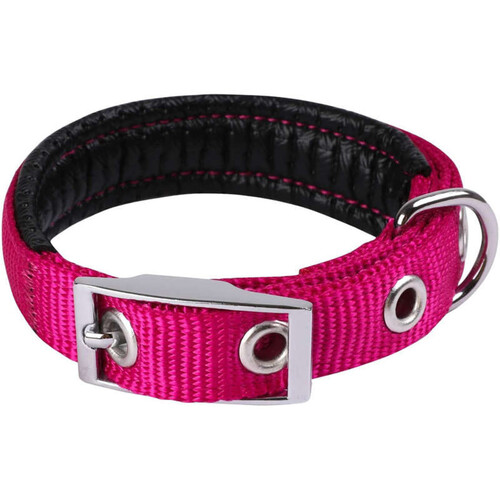 Animalis Collier Basic Confort pour Chien 25mm - 55cm, Fuschia