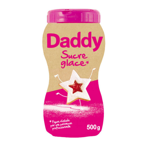 Daddy sucre glace saupoudreuse le pot de 500g
