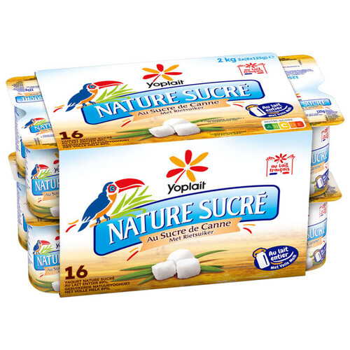 Yoplait yaourt nature sucre pots 16x125g