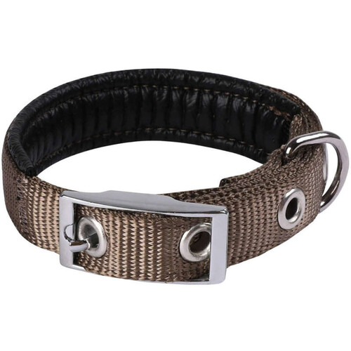 Animalis Collier Basic Confort pour Chien 25mm - 65cm, Taupe