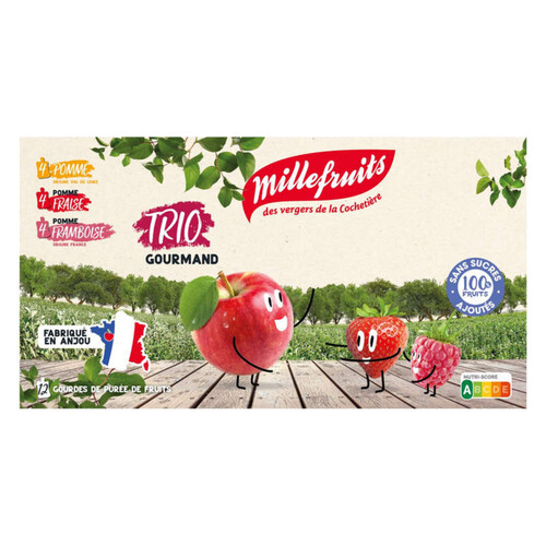 Millefruits Purées de fruits Gourdes12x90g